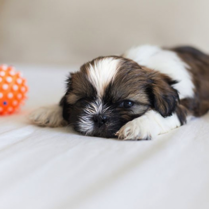 การตรวจสุขภาพทั่วไป (Annual Health Check Program)